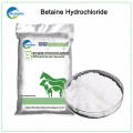 Alimentation nutritive Prix Hydrochlorure de bétaïne